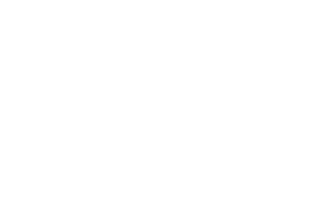 Logo Valkiria